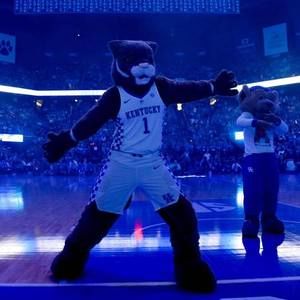 Meet your Posher, Shaun